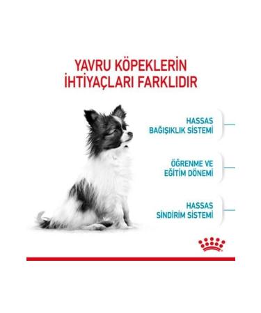 Royal Canin X Small Puppy Small Breed Puppy Food 3 Kg - Petshopundan - Buy Online on GoSupps.com