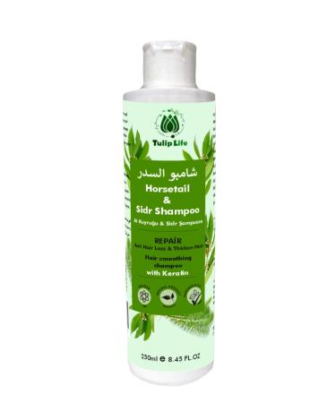 Tuliplife Horsetail & Sidr Natural Herbal Shampoo 250 ml Fast Hair Growth Plumping Repairing Nourishing - Buy Online on GoSupps.com