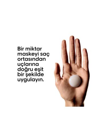 L'oreal Professionnel Absolut Repair Molecular Intensive Repair Mask for All Damaged Hair 250 ml - Buy Online on GoSupps.com