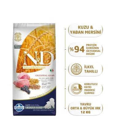 N & D Ancestral Grain Lamb Wheat Oat & Blueberry Medium and Large Breed Adult Dog Food 12 Kg - Buy Online on GoSupps.com
