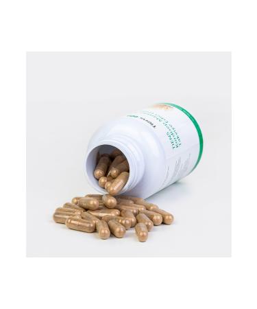 Tiens CORDICEP MUSHROOM - Buy Online on GoSupps.com