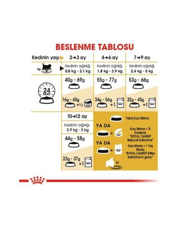 Royal Canin Persian Breed Special Kitten Cat Food 2 Kg - Buy Online on GoSupps.com