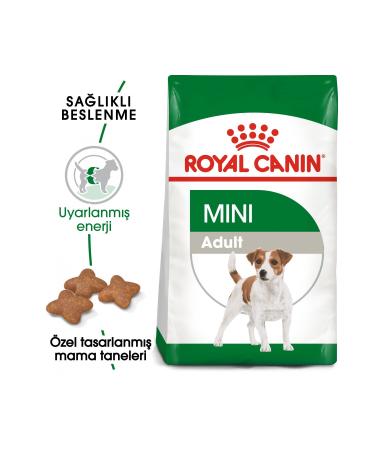 Royal Canin Mini Adult Dog Food 2 Kg