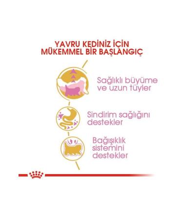 Royal Canin Persian Breed Special Kitten Cat Food 2 Kg - Buy Online on GoSupps.com