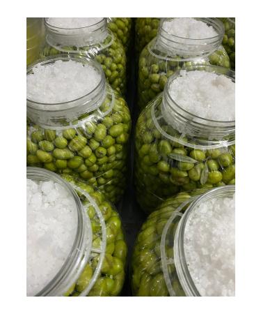 mut incisi olive & olive oil Flavor Yourself 5 Liter Green Olives in Pette (2 Pieces 5 liter pet) - Buy Online on GoSupps.com