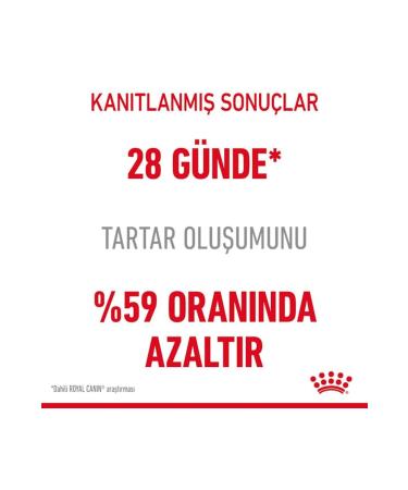 Royal Canin Oral Care Cat Food 1.5 Kg - Buy Online on GoSupps.com