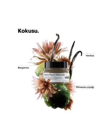 L'oreal Professionnel Absolut Repair Molecular Intensive Repair Mask for All Damaged Hair 250 ml - Buy Online on GoSupps.com