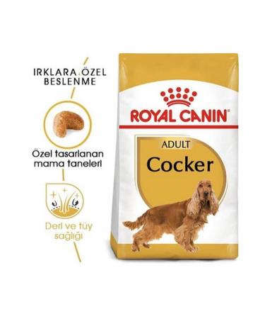 Royal Canin Cocker Adult 3 Kg - Buy Online on GoSupps.com