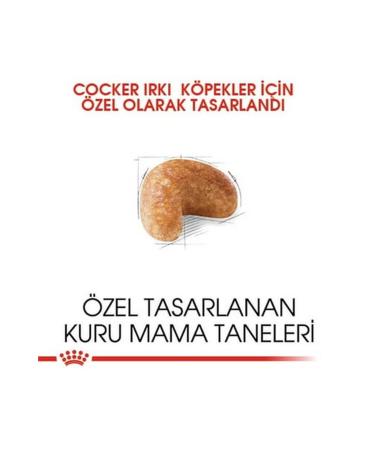 Royal Canin Cocker Adult 3 Kg - Buy Online on GoSupps.com