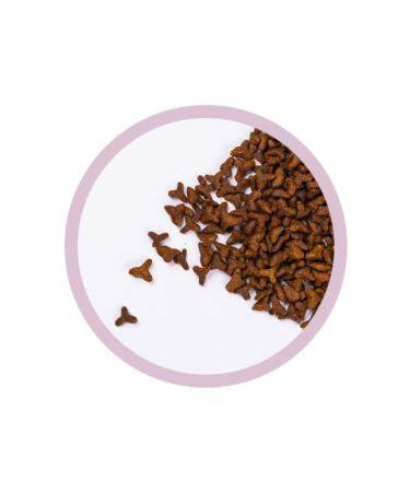 KiS-KiS Sterilized Neutered Cat Food 7.5 Kg - Buy Online on GoSupps.com