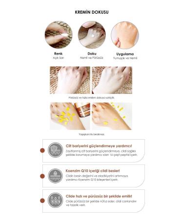 PEKAH Coenzyme Q10 Peptide Anti-Aging Nourishing Face Care Cream 50 ml - Buy Online on GoSupps.com