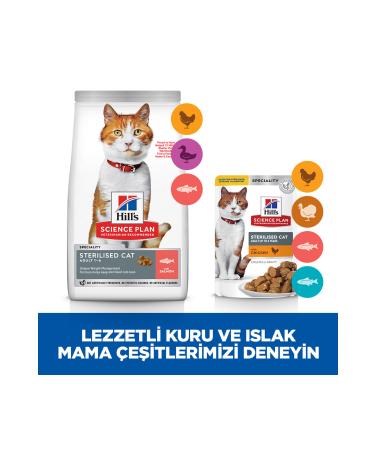 Hill's SCIENCE PLAN Salmon Sterilized Adult Cat Food 8+2 kg - Buy Online on GoSupps.com