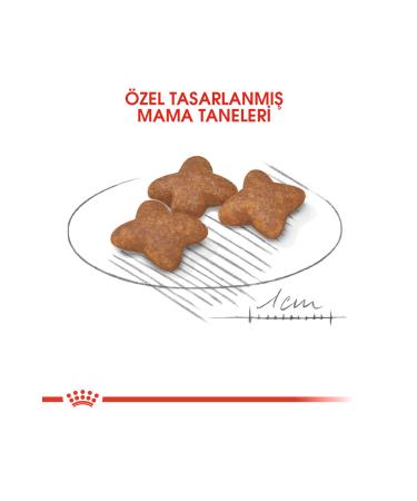 Royal Canin Mini Adult Dog Food 2 Kg - Buy Online on GoSupps.com