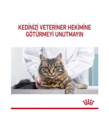 Royal Canin Oral Care Cat Food 1.5 Kg - Buy Online on GoSupps.com
