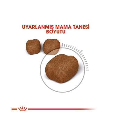 Royal Canin Oral Care Cat Food 1.5 Kg - Buy Online on GoSupps.com