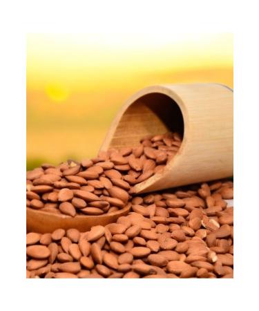 Apricot Land Sun Dried Apricot Kernels 500gr