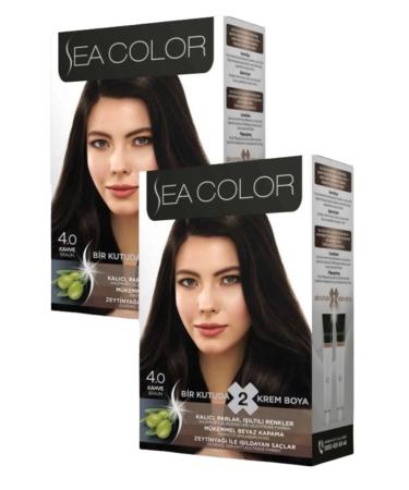 Sea Color 4/0 Hair Dye Brown 100 ml X 2 Boxes