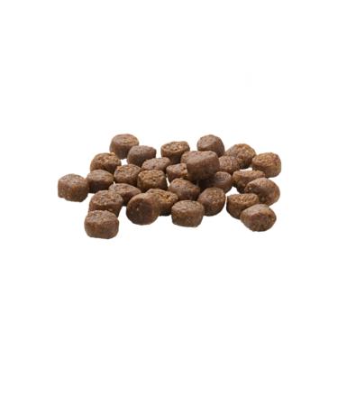 Mera Kitten Grain-Free Duck Kitten Cat Food 2 Kg - Buy Online on GoSupps.com