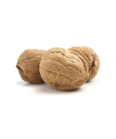 Minervakoop Oily Burdur Walnut 1 Kg Extremely Delicious