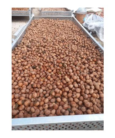 O UZLAR WALNUT FARMING Shelled walnut 1kg ( orum-O uzlar Drug-Free Agriculture) - Buy Online on GoSupps.com