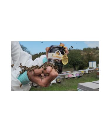 Akosman beekeeping Chestnut Honey 425 gr - Buy Online on GoSupps.com