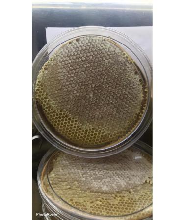 K nal kuzu ErzincanKarakovan Comb Honey (1300GR-1450GR)