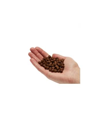 Mera Kitten Grain-Free Duck Kitten Cat Food 2 Kg - Buy Online on GoSupps.com