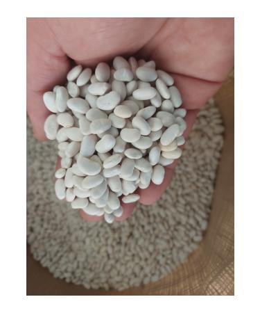 irfan legumes dry beans 5 kg (village produce)
