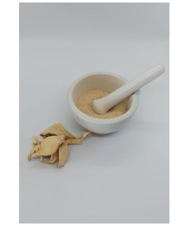 Elitgidaproducts Oyster Mushroom Powder 100gram - Buy Online on GoSupps.com