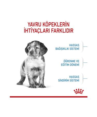 Royal Canin Medium Junior Medium Breed Puppy Food 4kg - Buy Online on GoSupps.com