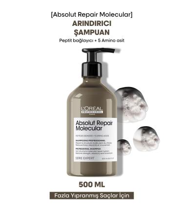 L'oreal Professionnel Serie Expert Absolut Repair Molecular Purifying Shampoo for All Damaged Hair