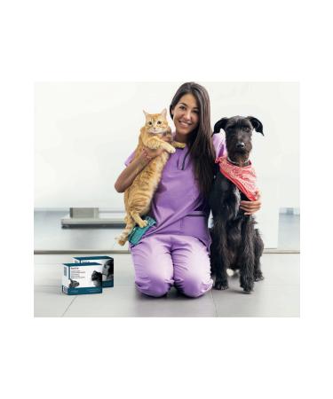 Vetqom SeniQa Cat and Small Breed Dog Cognitive and Neurological Function Supporter 30 sachets - Buy Online on GoSupps.com