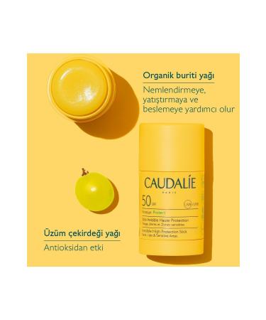 Caudalie Vinosun Stick Sun Cream - Buy Online on GoSupps.com
