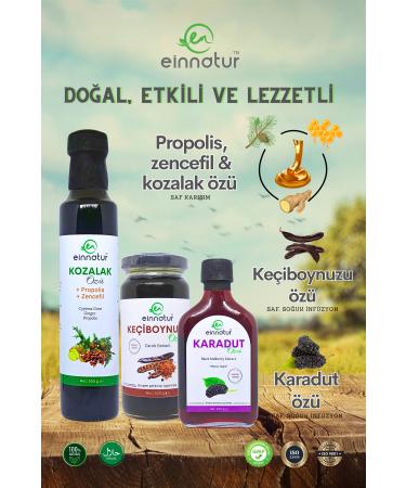 EinNatur Black Mulberry Extract 290 gr Carob Extract 320 gr and Propolis Ginger Cone Extract 350 gr - Buy Online on GoSupps.com