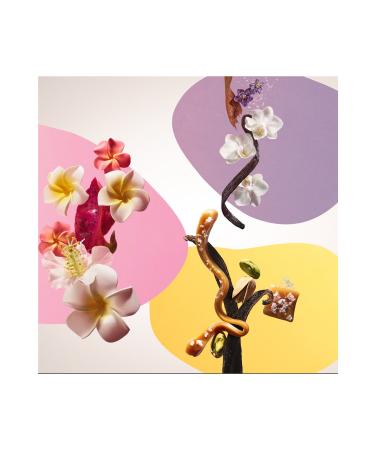 Sol De Janeiro Rio Body Tri Body Cream Set 50ml+50ml+50ml Pinkestcosmetics - Buy Online on GoSupps.com