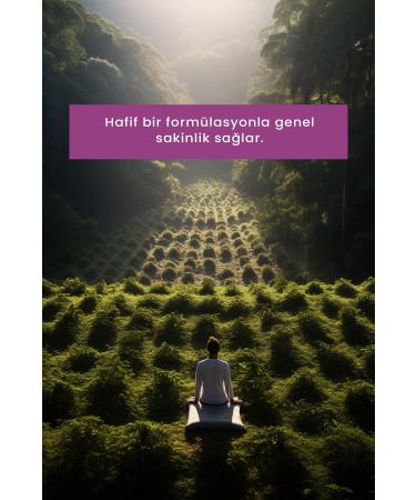 Herbalfarma Stress Reducing and Sleep Quality Improving Natural Supplement - Comfortable Sleep with Passionflower - 60 Tablets - Buy Online on GoSupps.com