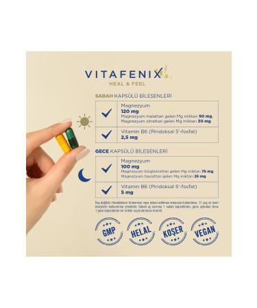 Vitafenix Magna P Night and Day Capsule Magnesium Supplement - Buy Online on GoSupps.com