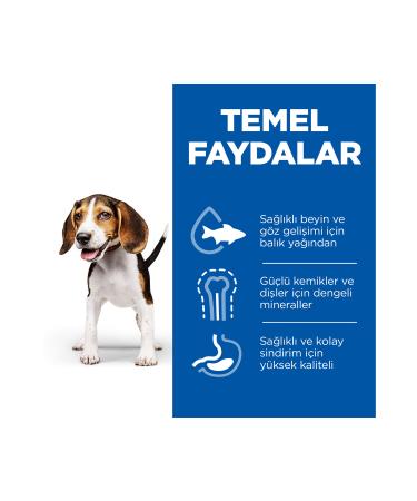 Hill's SCIENCE PLAN Lamb and Rice Medium Breed Puppy Food 2.5 Kg - Buy Online on GoSupps.com