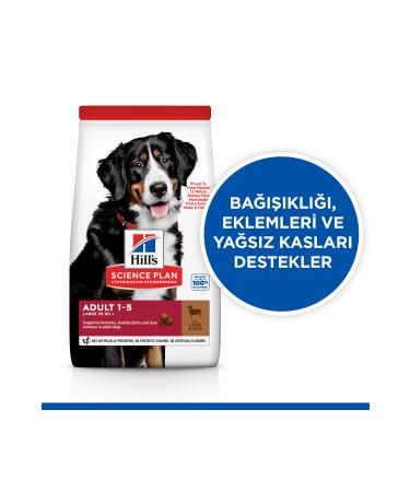 Hill's SCIENCE PLAN Lamb and Rice Large Breed Adult Dog Food 14 Kg - Buy Online on GoSupps.com