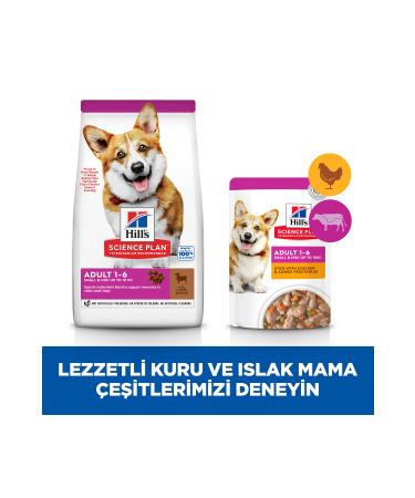 Hill's Small Mini Small Breed Lamb Adult Dog Food 1.5 Kg - Petshopundan - Buy Online on GoSupps.com