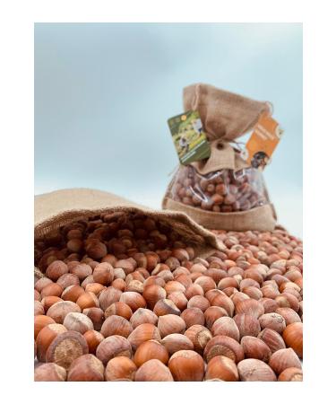 geniuspond Agnesgp Premium 2024 Giresun Oily Shelled Hazelnuts 56 Yield (1 KG) - Buy Online on GoSupps.com