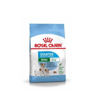 Royal Canin Mini Starter Small Breed Puppy Food 4 Kg - Tp738431 - Petshopundan