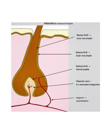 dr.Ferlo Anti-Hair Loss Serum - Buy Online on GoSupps.com