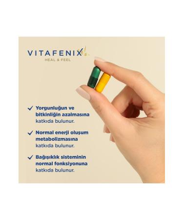 Vitafenix Magna P Night and Day Capsule Magnesium Supplement - Buy Online on GoSupps.com