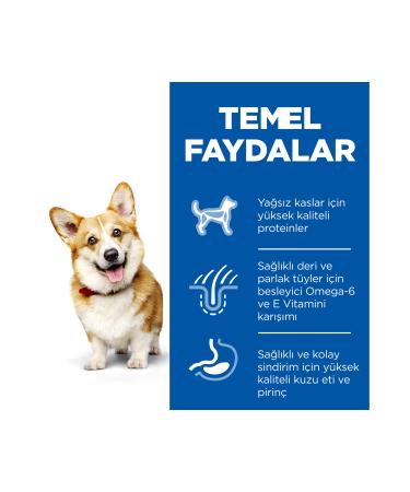 Hill's Small Mini Small Breed Lamb Adult Dog Food 1.5 Kg - Petshopundan - Buy Online on GoSupps.com