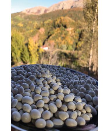 COSMEAGE Ispir Sugar Beans 1000 Gr Sugar Beans Natural Dry Beans - Buy Online on GoSupps.com