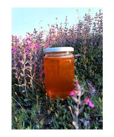 cahter Organic Karakovan Pure Honey 850 gr - Buy Online on GoSupps.com