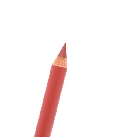 Roesia Rose Cosmetics Rose 12-Piece Thick Blending Sponge Pencil Lipstick Set - Jumbo Matte Lipstick Pen - Buy Online on GoSupps.com