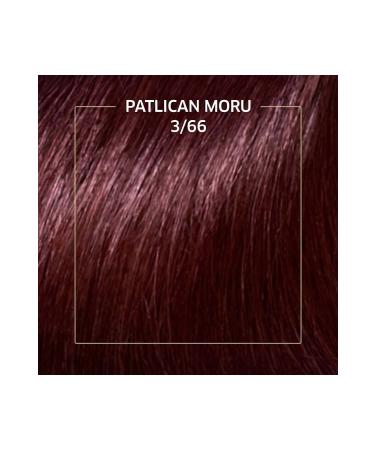 Wella Koleston Kit Eggplant Purple Set 3.66 - Buy Online on GoSupps.com