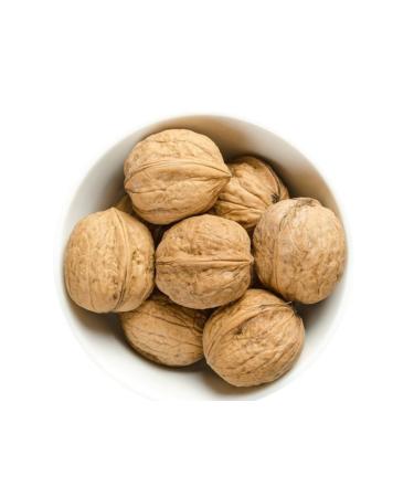 KA AN 1KG New crop thin shelled white kernel chadler walnut - Buy Online on GoSupps.com